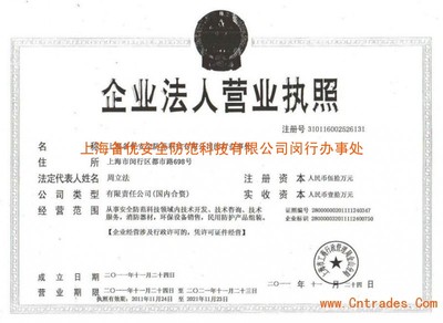 上海網絡技術服務營業執照 申請要點與運營指南